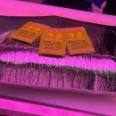 소라축산 | 망원동, 하나로축산 가성비 마포구정육점추천 고퀄리티