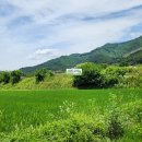 적상면042 티스토리