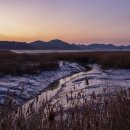 순천만 습지 이미지