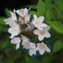 매화농업협동조합 이미지