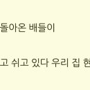 강변농원사과
