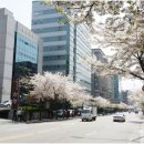 스시보노 - 달서구 계대동문로 12 | 스시보노