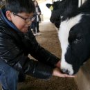 가나안목장 이미지