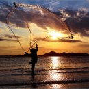 오늘의 찬 이미지