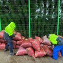 대천동-3 이미지