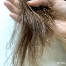골든헤어 - 남동구 | 골든헤어