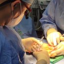 내맘에한의원 이미지