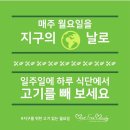 ＜고기 없는 월요일 Meat Free Monday＞을 실천하고 계시는 소드님들! 월요일 점심 식단 공유하자긔 이미지