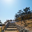 동백 태양광발전소 이미지