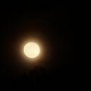 만월(Full Moon) 이미지