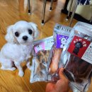 뽀그리 상점 이미지