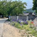 수능엄사 옆 이미지