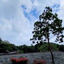 섬진강대나무숲길 이미지