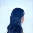 블루하이츠 이미지