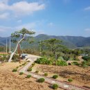 지주공인중개사사무소 이미지