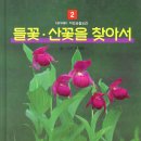 꽃향기 - 인제군 조침령로 659-4 | 꽃향기