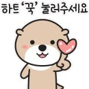 거금아일랜드펜션 이미지