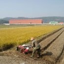 고랑정미소 이미지