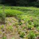 동화민박 이미지