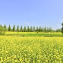 동천 갯벌공연장 | 전남 봄여행주간 목포 레트로 여행부터 순천만 국가정원까지 남도한바퀴 돌아보기~