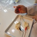 유클리드학원 이미지