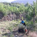 진해농장 이미지