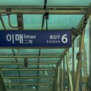 이매로 | 이매역 바로 앞, 포장해와서 두고두고 먹은 분당닭강정 맛집 후기