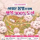 봄빛조명