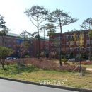 [실천학교]문화로 배우는 생활 일본어 이미지