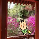 라일락휴게소 이미지