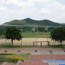 낙동강체육공원 야구장 이미지