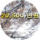 은평-002 이미지