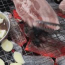 우가우가식육식당 이미지