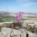 대광민박 이미지