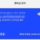 쳇GPT 영어회화 | 스픽내돈내산 1년 솔직후기 : 영어회화독학 방법 (+스픽할인받기)