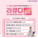 도안대로(유성-88) 이미지