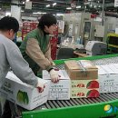 안양우편집중국 이미지