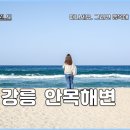 안목해변 네이버블로그