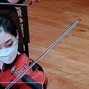 디벨리드