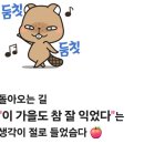 밀양 축제(얼음골사과.대추) 이미지