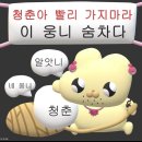 엔츠노래타운 네이버블로그