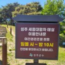 성주역사테마공원 관광안내소 | 성주 가볼만한곳, 직접 가본 세종대왕자태실 아기 태를 보관 했던 곳?