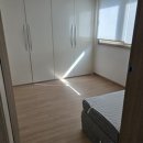 포레스트 월악 이미지