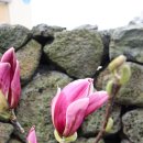 외도초등학교 이미지