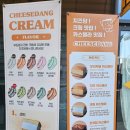 대전 대흥동 신상 빵집 치즈당 촉촉함 가득 카스테라와 생크림