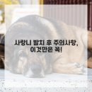 뽑기이야기 이미지