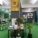 니어핀 골프 아카데미 이미지