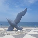 대천해수욕장 고려대수련원 이미지