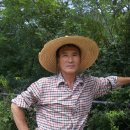 마태농장2 이미지