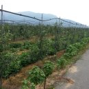 뉴한길공인중개사사무소 이미지